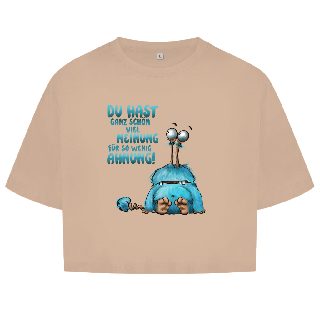 Damen Oversize Crop Top Du hast ganz schön viel Meinung für so wenig Ahnung!