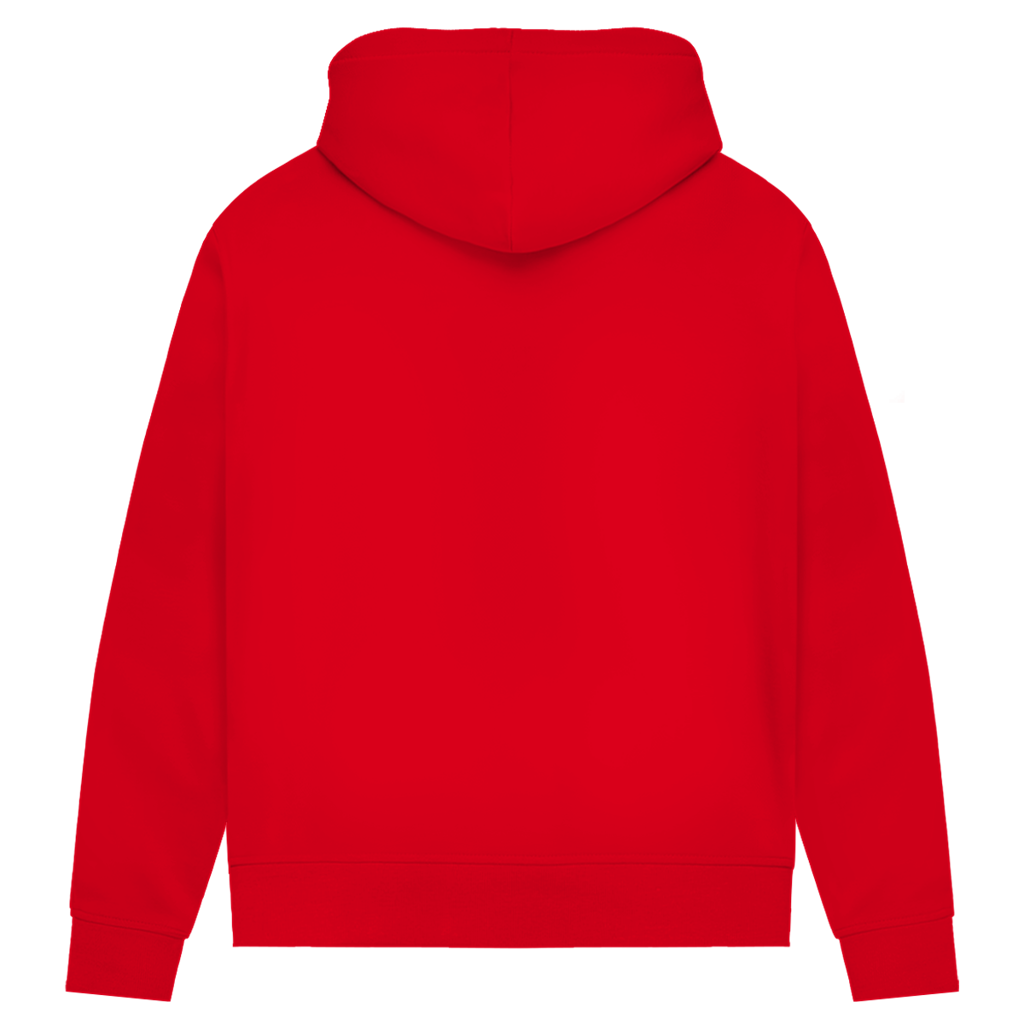 Damen Premium Bio Hoodie Erwachsen war ich auch schon mal... war auch doof