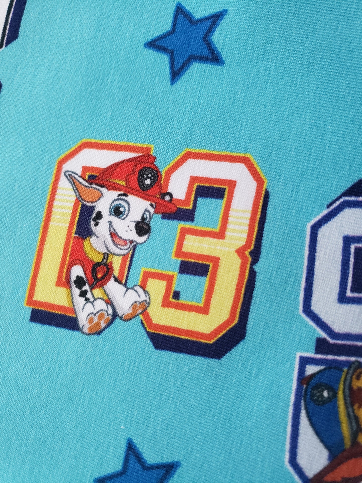 0,5m Nickelodeon, Jersey Stoff, Paw Patrol, Numbers, Lizenzstoff,türkis