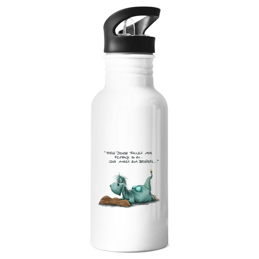 Edelstahl-Trinkflasche Vieledingefallenmir